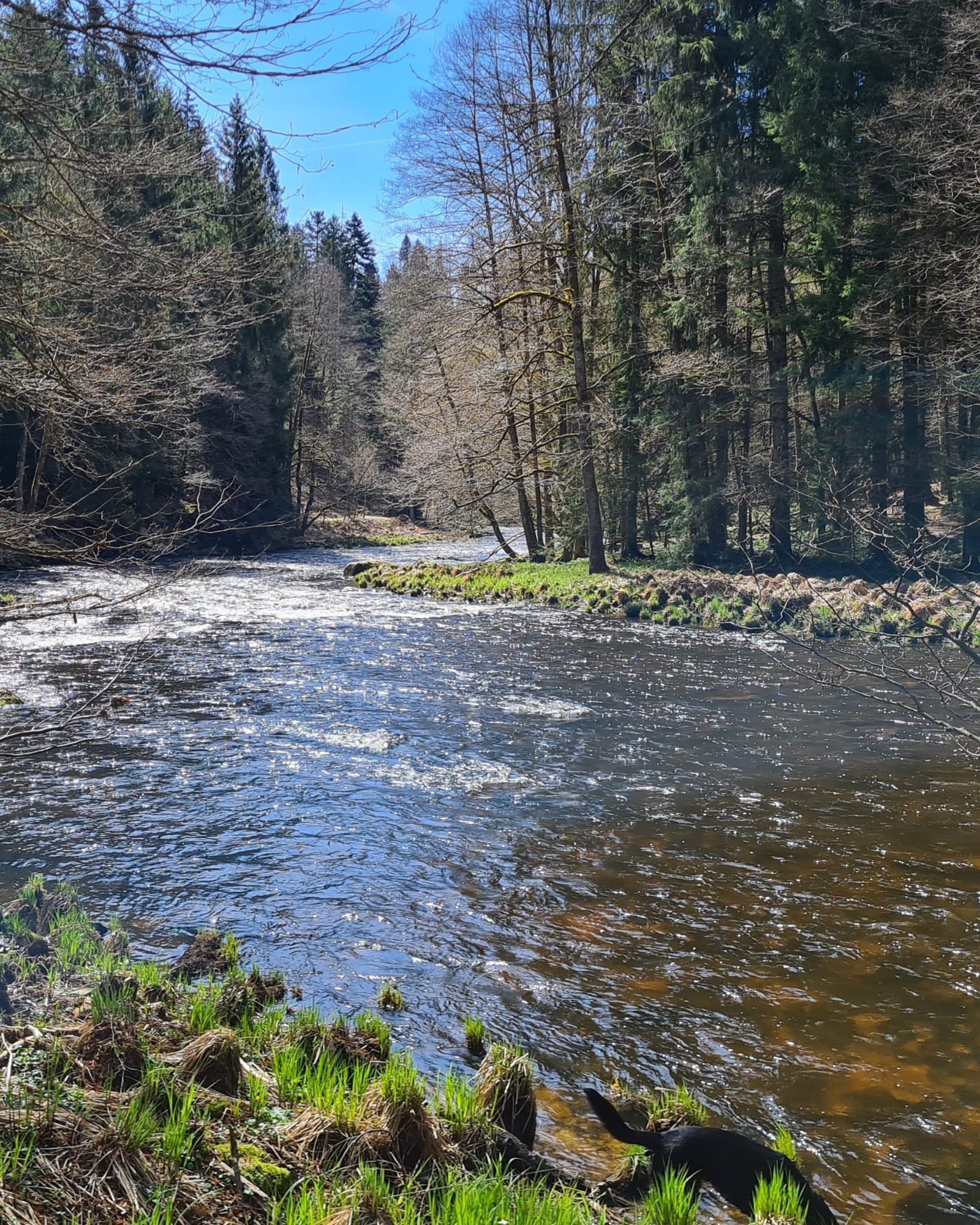 Ilz-Fluss mit Wanderweg
